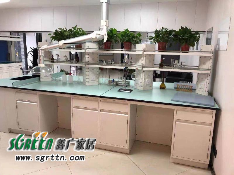 化驗室pp操作臺，實驗臺鋼木化學試驗桌，工作臺學校通風柜，全鋼試驗臺