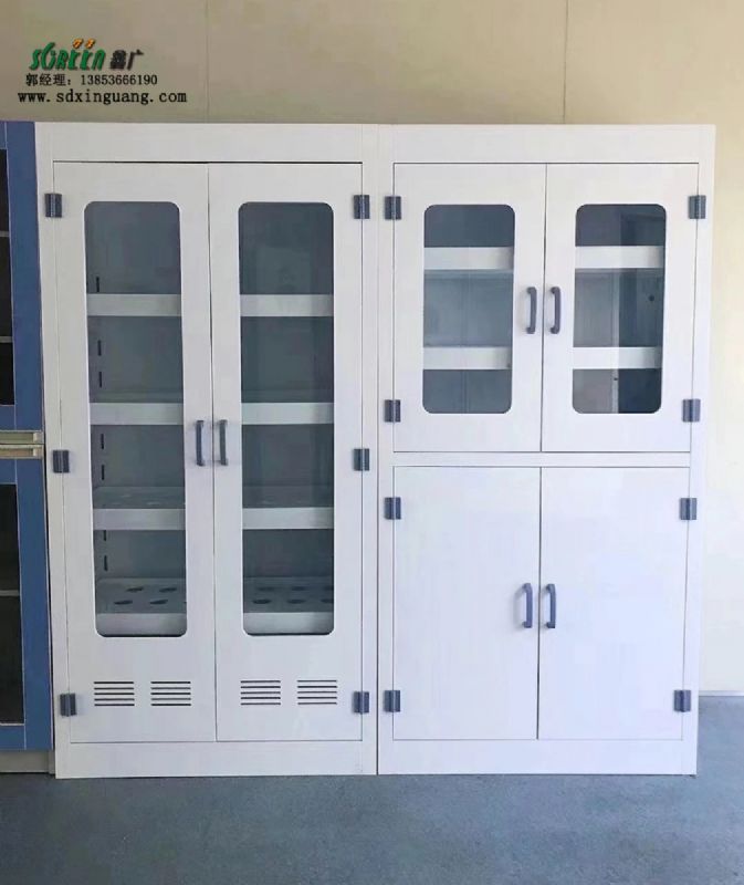 山東實驗室家具pp試劑柜器皿柜實驗室安全柜